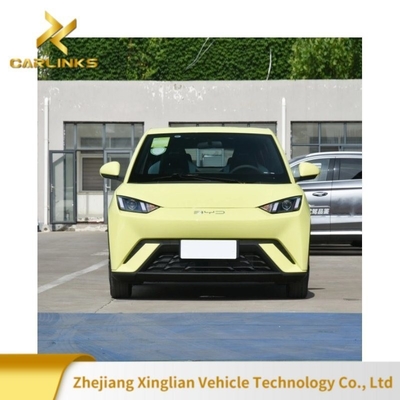 10.1 Inch Central Control Screen Automatic Gearbox Sea Gull Mini Electric Car