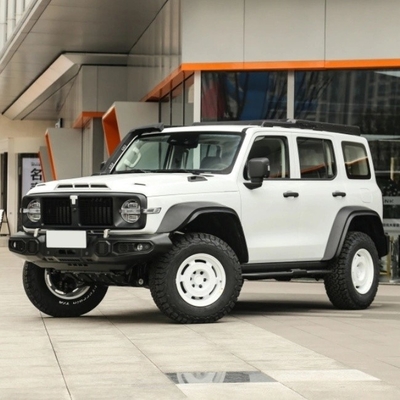 Tank 300 2024 Model 2.0t Iron Rider 02 AWD SUV Car for Your Customer Requirements