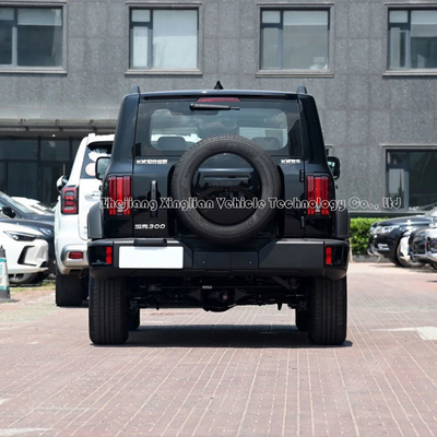 2023 SUV Tank 300 2.0t 4 Wheels Gasoline Vehicle Left-Steering Automatic Gearbox