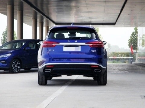 Email or Phone on-Line Service and Parts Sale Hongqi HS5 2 0 T PRO  Car 2024