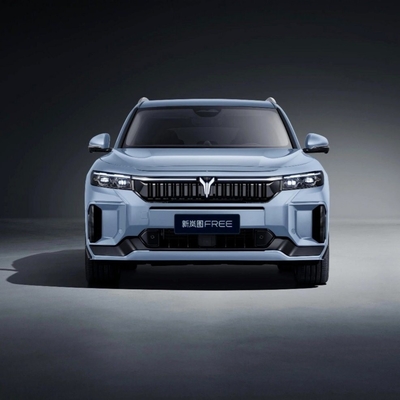 2023 Battery Electric Vehicle BEV SUV Famliy Car with Long Battery Life Voyah Free 2024