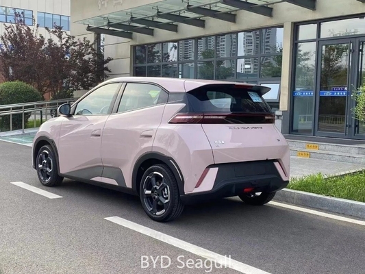 Byd Mini EV 2023 330Kw Maximum Power Closed Body Type 305km Cruising Range 5 Door 4 Seat