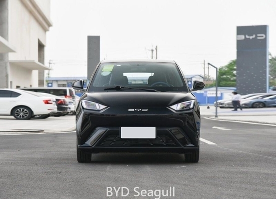 Ternary Lithium Battery Byd Seagull Flying Version Edition 2023 2024 CE Certification