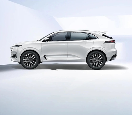Customization Hot Uni-V Intelligent Electric Idd Big Space Electric Vehiles 5seaters
