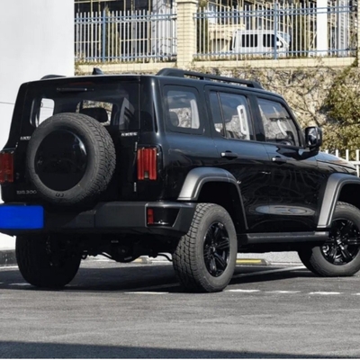 Automatic Tank 300 2024 2.0t 8AT 4WD Conqueror Gasoline Compact SUV with No. 92 Fuel