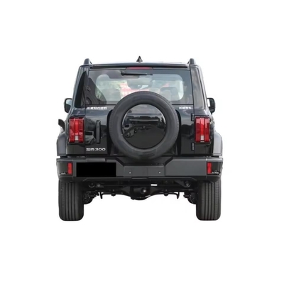 2024 Tank 300 4WD off-Road SUV 2.0T Third Anniversary Limited Edition Side Hinged Door