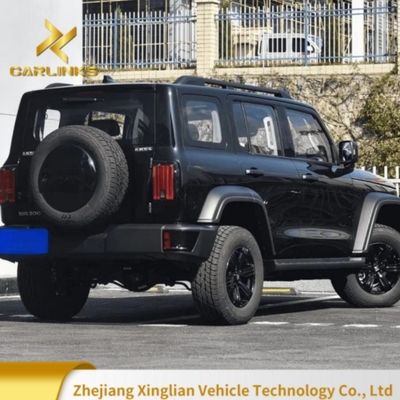 Great Wall Tank 300 2024 2.0t Third Anniversary Limited Edition SUV Tour Car with Engine