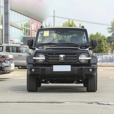 Gasoline Tank 300 2023 Model 2.0t Iron Rider 02 SUV Car with 5 Seats Performance