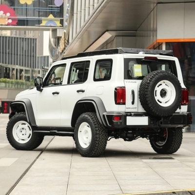 Gasoline Tank 300 2023 Model 2.0t Iron Rider 02 SUV Car with Mechanical Braking System