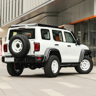 Gasoline Tank 300 2023 Model 2.0t Iron Rider 02 SUV Car with Mechanical Braking System