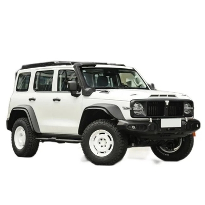 Gasoline Tank 300 2023 Model 2.0t Iron Rider 02 SUV Car with Mechanical Braking System
