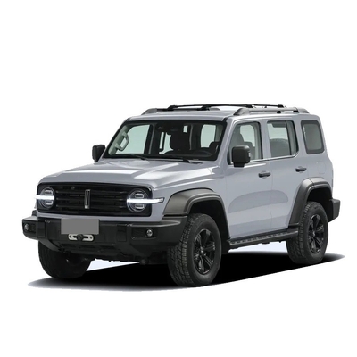 Chinese Tank 300 SUV with 2.0t 227PS L4 8at Custom Model Car in Black Exterior Color