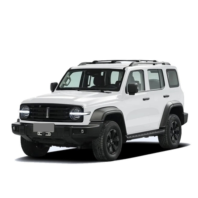 Chinese Tank 300 SUV with 2.0t 227PS L4 8at Custom Model Car in Black Exterior Color