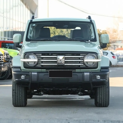 Chinese Tank 300 SUV with 2.0t 227PS L4 8at Custom Model Car in Black Exterior Color