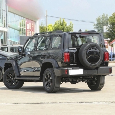 Direct Supply Great Wall Tank 300 SUV 8-Gear Gasoline Car Mgnt Certification ISO10012