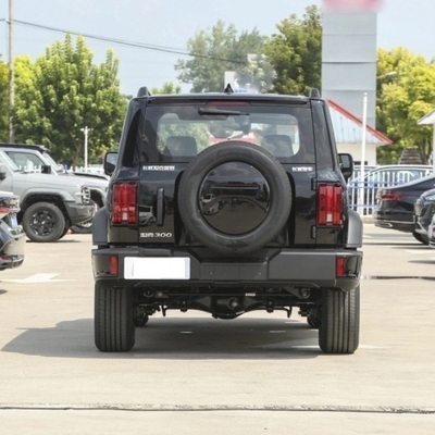 Direct Supply Great Wall Tank 300 SUV 8-Gear Gasoline Car Mgnt Certification ISO10012