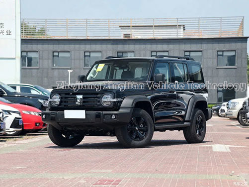 Tank 300 Car Chinese 8 Speed 227HP 5 Seat Gasoline SUV with Mechanical Braking System