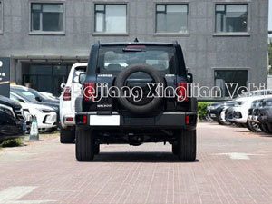 Gas Petrol Cars Gwm Tank 300 2024 3.0 Challenge Tank 500 400 SUV for Adults 5 Doors