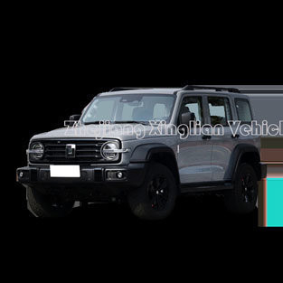 2023 5 Seats Tank 300 Upgrade Version Tank 700 Super Maximum Power Kw 167 Customization