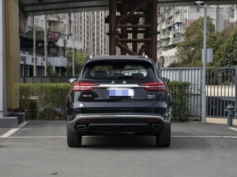Customization Chinese  Car Middle SUV Hongqi HS5 2.0t Car Gasoline Vehicle Sedan