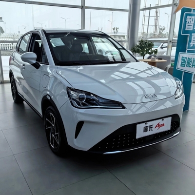 Affordable 501-800W Neta Aya Mini Pure Electric  Family Car with Closed Body Type