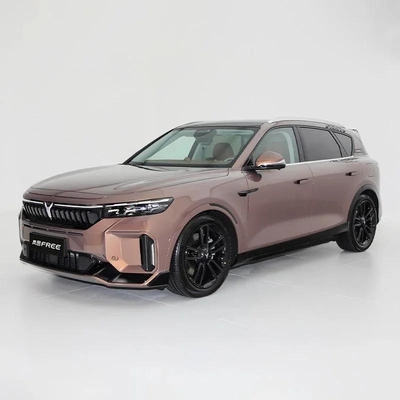 490PS Voyah Free 2024 Long Battery Life Intelligent Driving Edition EV Battery SUV 
