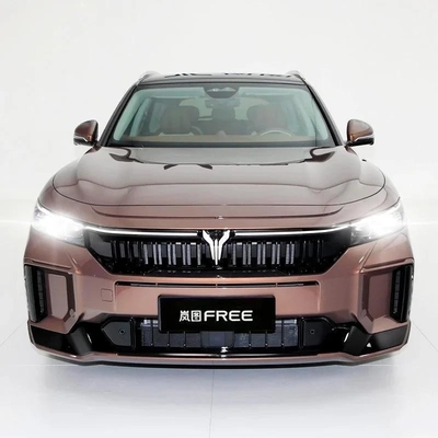 Customized Request 2024 Voyah Free with and Large Screen 5-Door 5-Seat SUV Vehicle